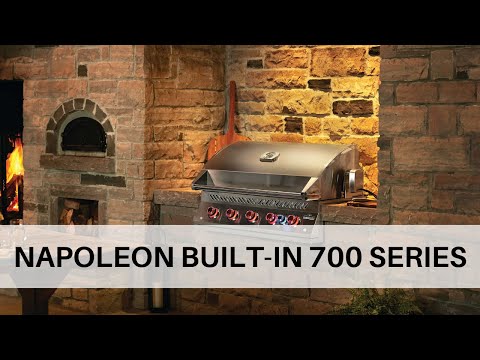 Napoleon BIG44RBSS Stainless Steel Built-In 700 Series 44-Inch Infrared Rear 6-Burner Gas Grill Head