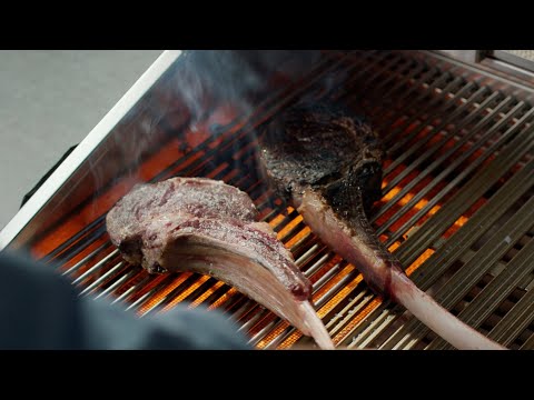 DCS BGC30-BQ Series 7 30-Inch Built-In Gas Grill