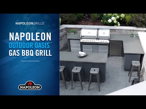 Napoleon Oasis Under Grill Cabinet for Built-In Prestige 500 or Prestige PRO 500