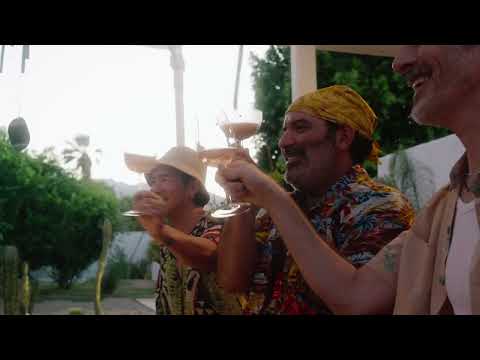 Twin Eagles TEBQ36-C 36-Inch Built-In Gas Grill