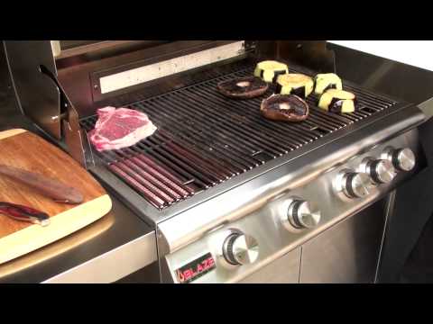 Blaze BLZ-4PRO Professional Built-In Gas Grill with Rear Infrared Burner, 44-inch