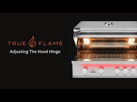 TrueFlame Built-In Gas Grill, 25-Inch